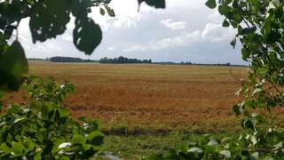 Дома для отпуска Loghouse among fields of gold Kakumetsa Дом с 2 спальнями-3